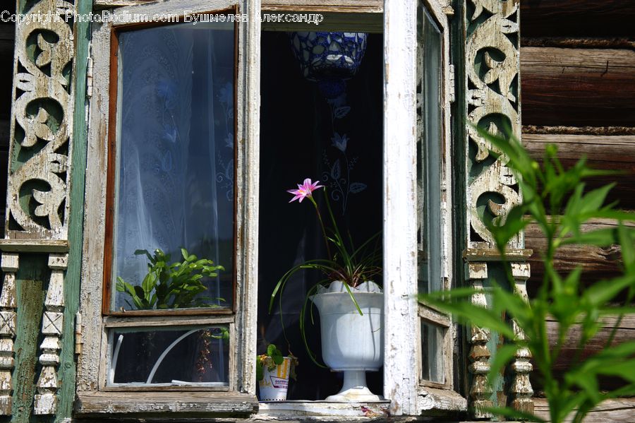 Plant, Potted Plant, Fern, Window, Deck, Housing, Porch