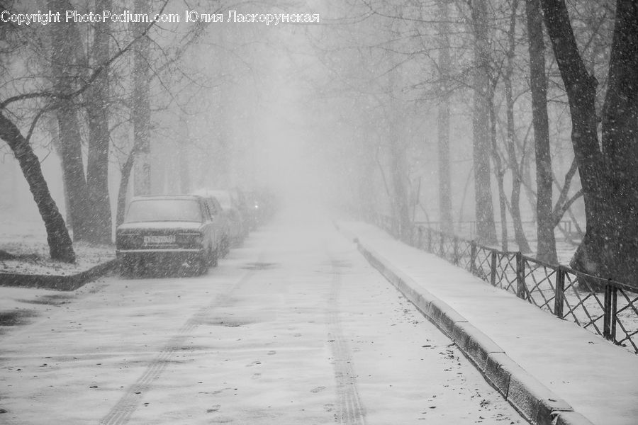 Blizzard, Outdoors, Snow, Weather, Winter, Ice, Road