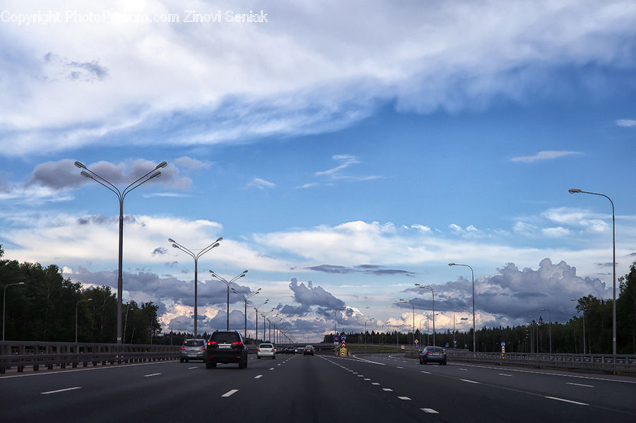 Freeway, Road, Highway, Palm Tree, Plant, Tree