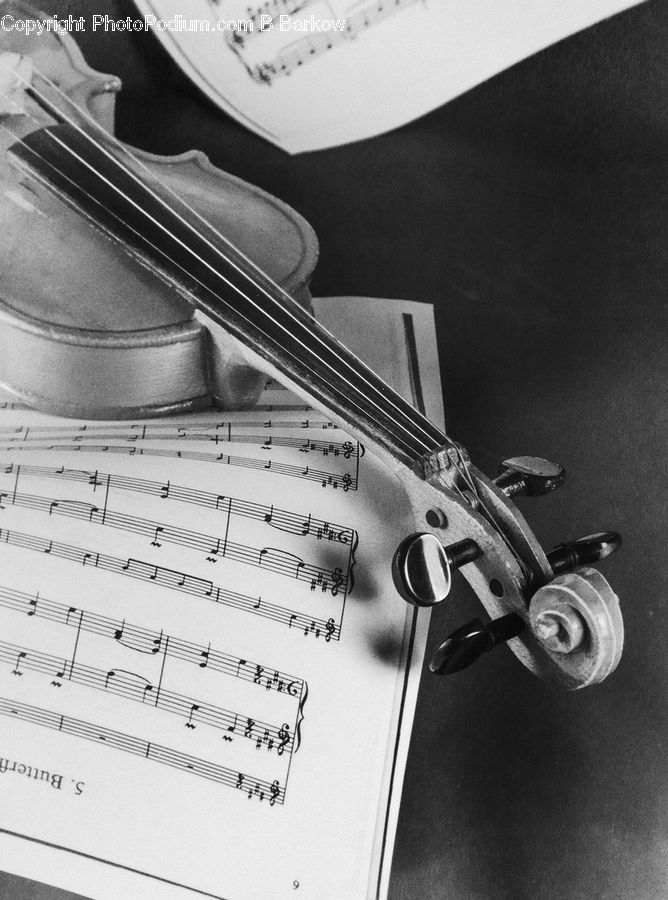 Cello, Fiddle, Musical Instrument, Violin, Viola, Intersection, Road