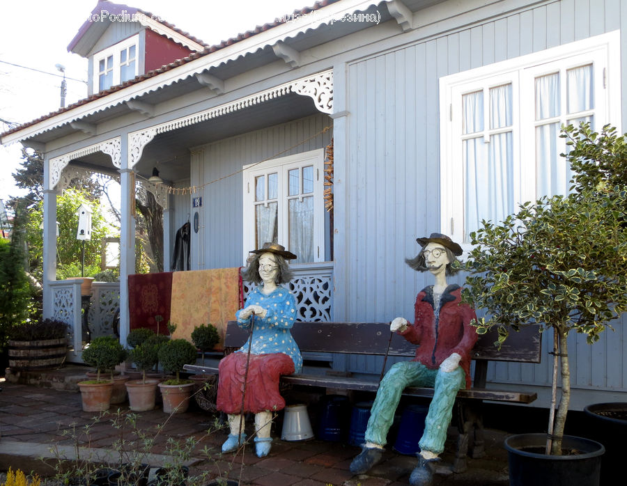 Plant, Potted Plant, People, Person, Human, Bonsai, Tree