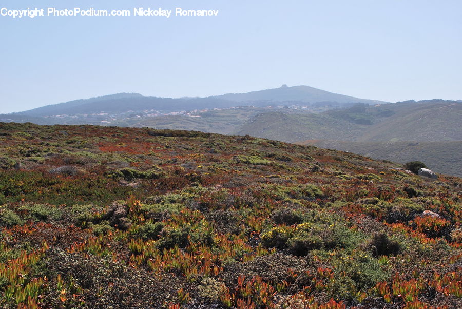 Countryside, Hill, Outdoors, Crest, Mountain, Peak, Bush