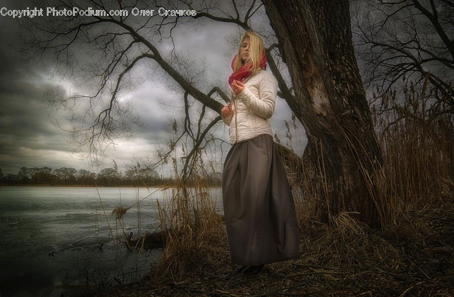 Scarecrow, Blonde, Female, Person, Woman, Clothing, Dress