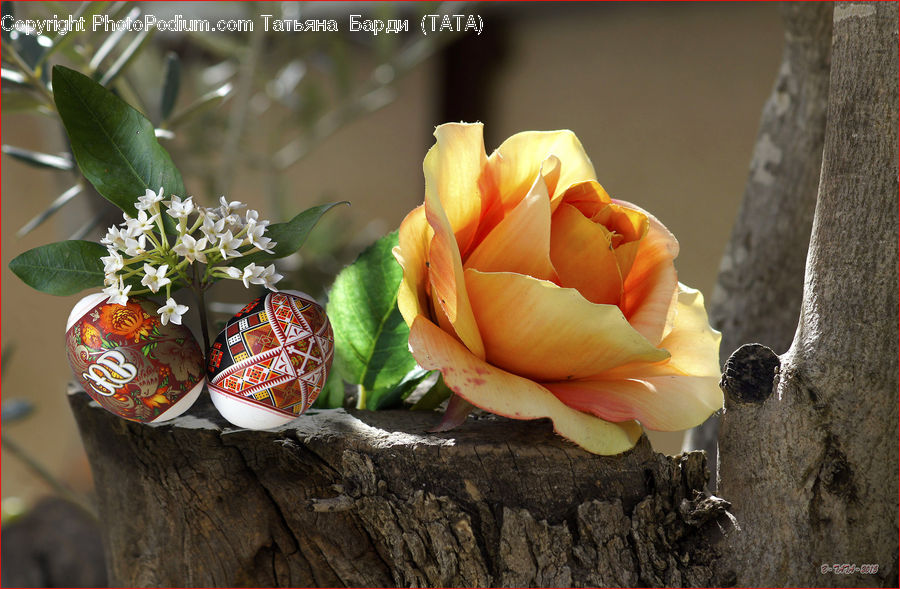 Flower, Flower Arrangement, Flower Bouquet, Pot, Pottery, Floral Design, Ikebana