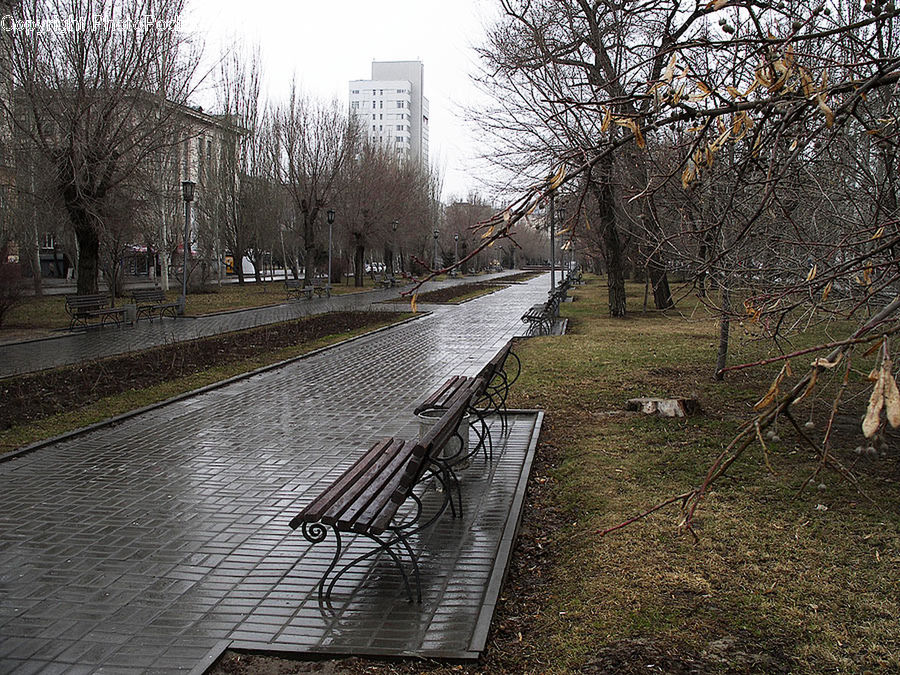 Park Bench, Forest, Grove, Land, Pavement, Canal, Outdoors