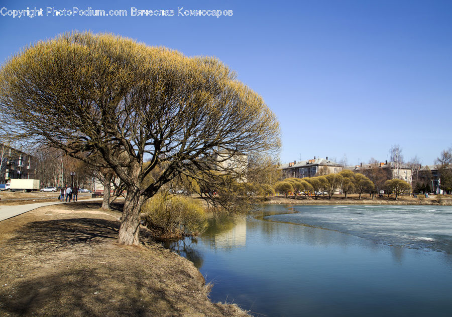 Outdoors, River, Water, Plant, Tree, Landscape, Nature
