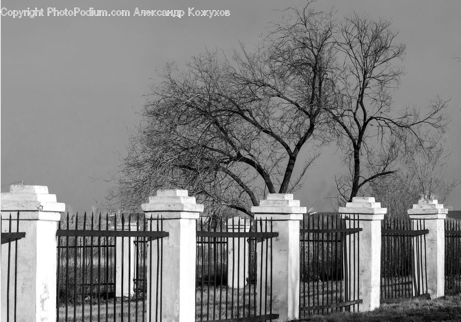 Column, Pillar, Arch, Gate, Fence