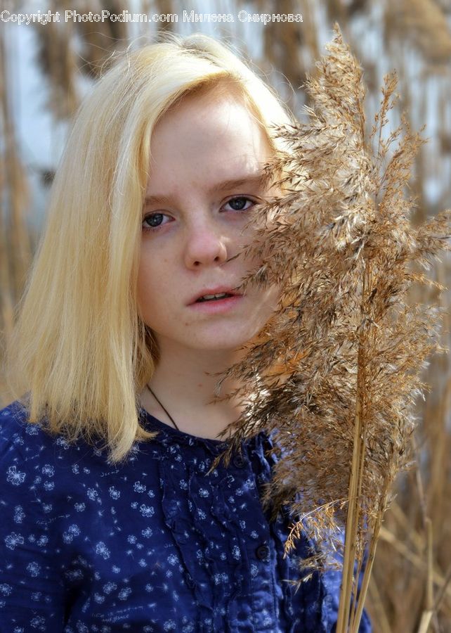 Human, People, Person, Blonde, Female, Woman, Field