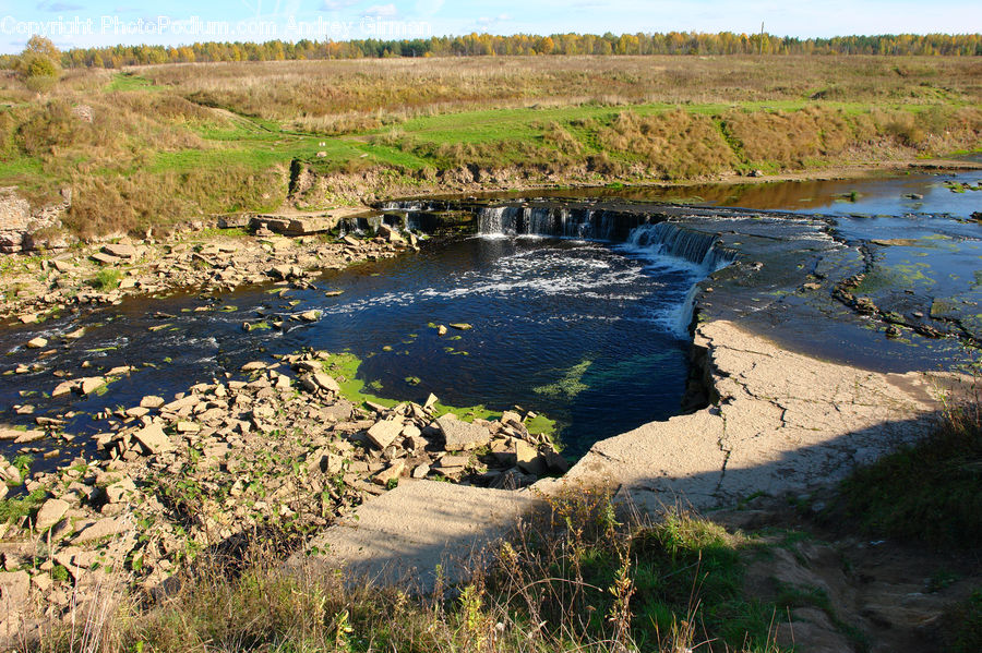 Land, Marsh, Pond, Swamp, Water, Plant, Vegetation