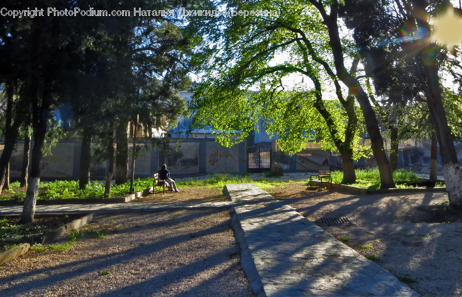 Park Bench, Park, Dirt Road, Gravel, Road, Backyard, Yard