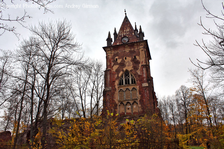 Architecture, Bell Tower, Clock Tower, Tower, Church, Worship, Cathedral