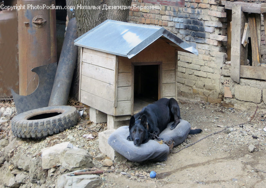 Dog House, Tire