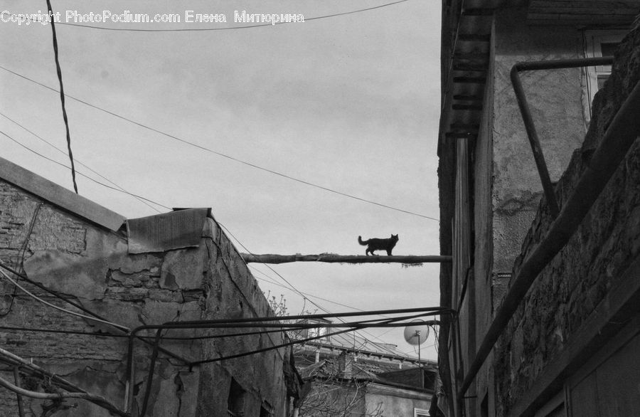 Wire, Brick, Alley, Alleyway, Road, Street, Town