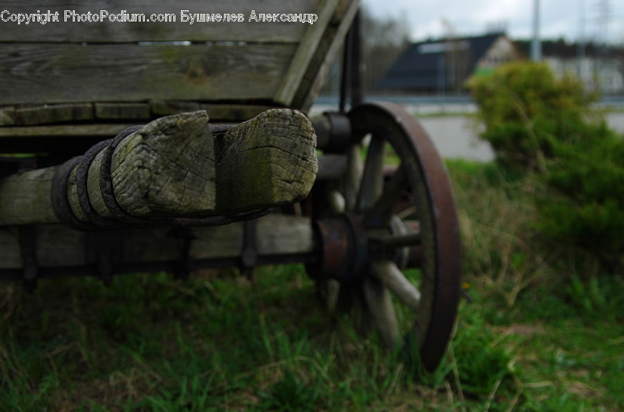 Tire, Cannon, Weaponry, Bench, Outdoors, Bush, Plant