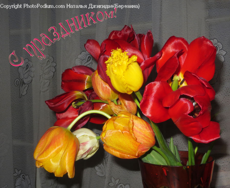 Floral Design, Flower, Flower Arrangement, Flower Bouquet, Ikebana, Blossom, Flora