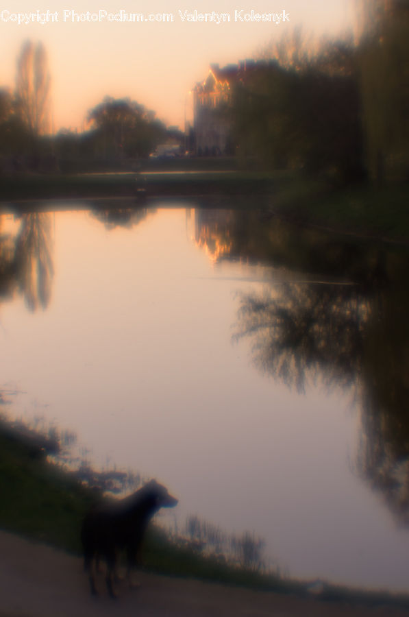 Dawn, Dusk, Sky, Sunrise, Sunset, Silhouette, Fog