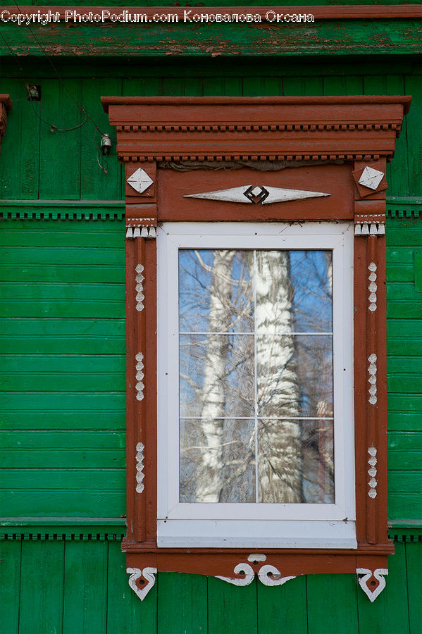 Window, Plant, Vegetation