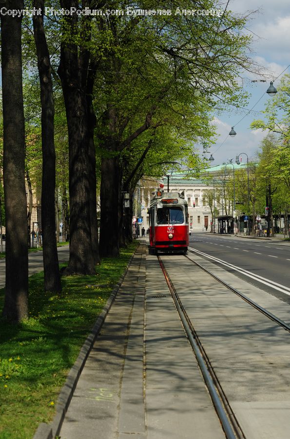 Streetcar, Tram, Cable Car, Trolley, Vehicle, Rail, Road