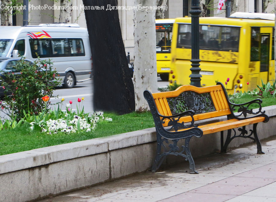 Bench, Bus, Vehicle, Double Decker Bus, Herbal, Herbs, Plant