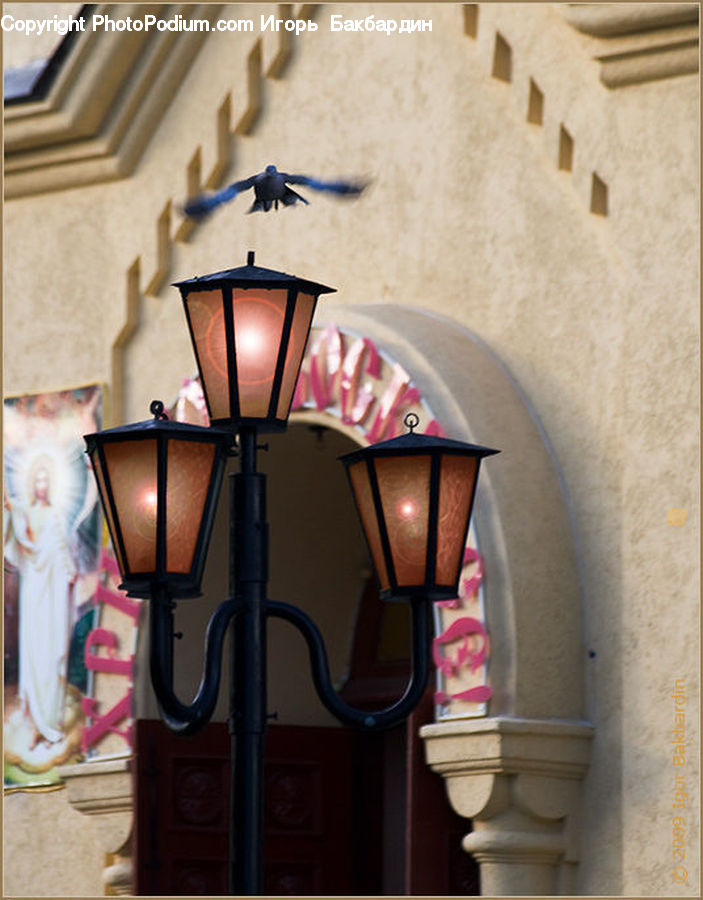 Lamp, Light Fixture, Lamp Post, Pole, Table Lamp, Lampshade, Plumbing