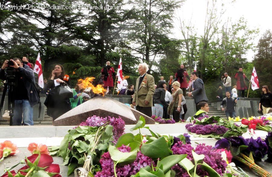 People, Person, Human, Officer, Police, Picnic, Flower