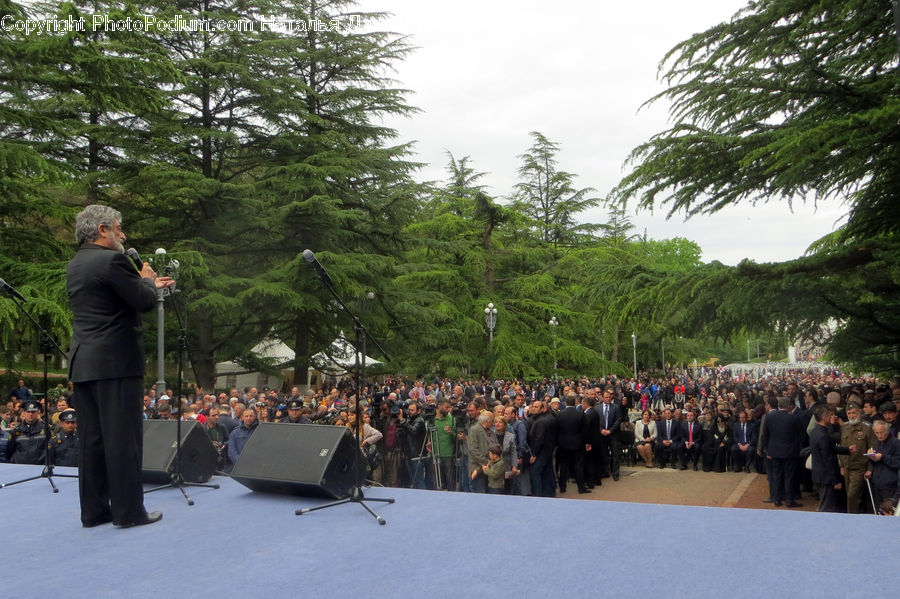 Human, People, Person, Crowd, Computer, Electronics, LCD Screen