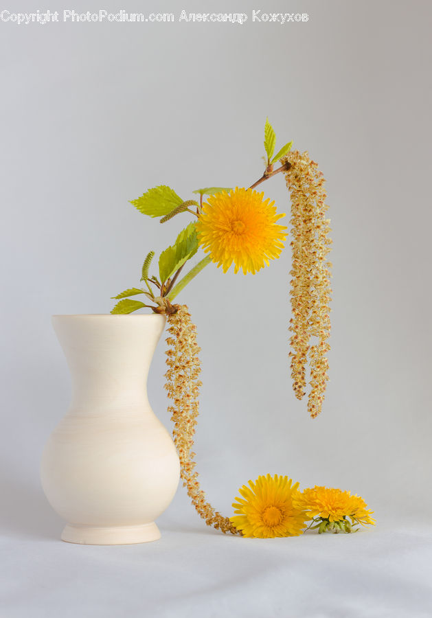 Flower Arrangement, Ikebana, Plant, Potted Plant, Vase, Blossom, Flora