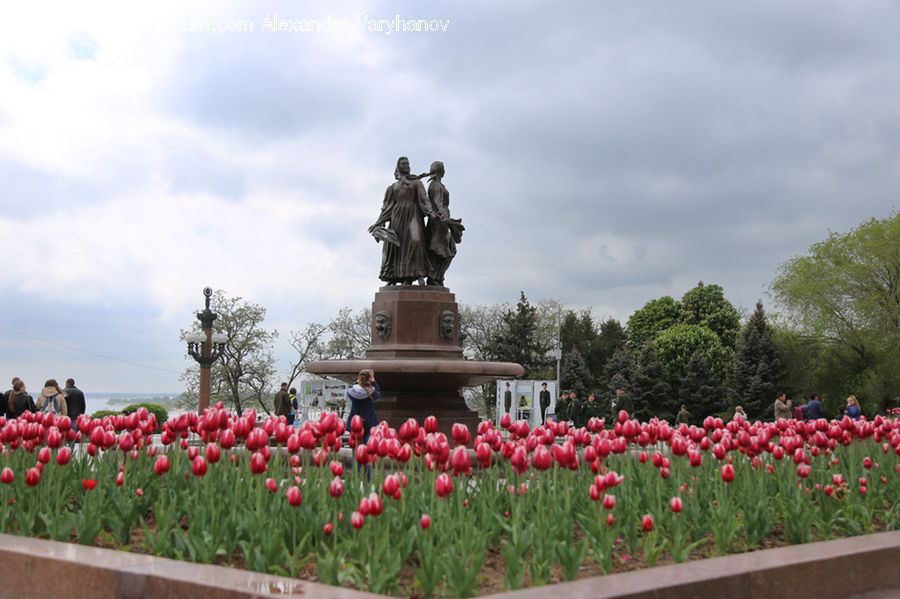 Blossom, Flora, Flower, Plant, Tulip, Art, Sculpture