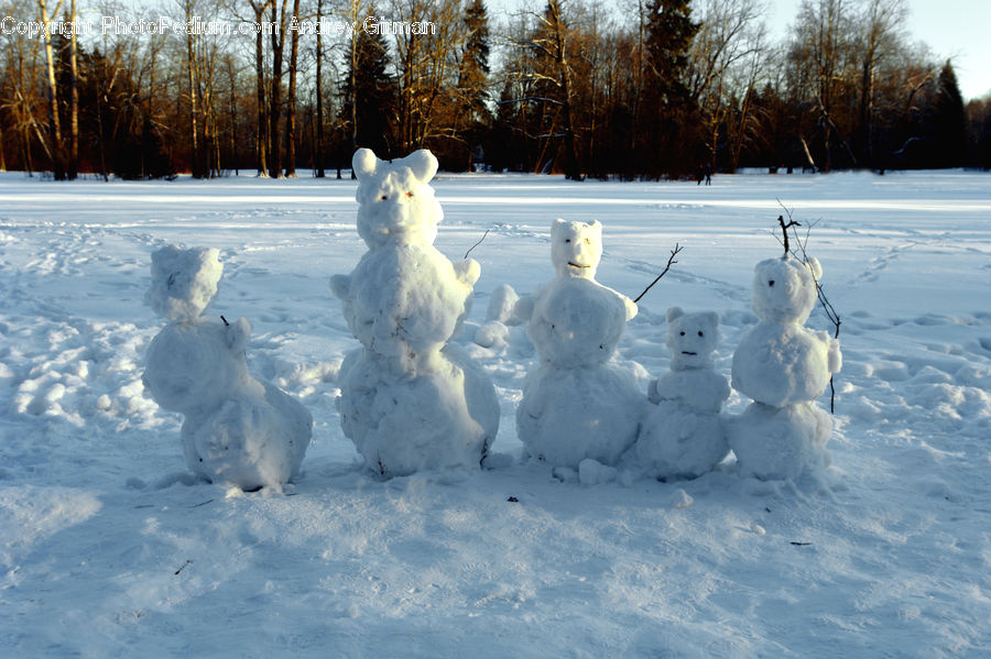 Ice, Snow, Snowman, Winter, Arctic, Forest, Vegetation
