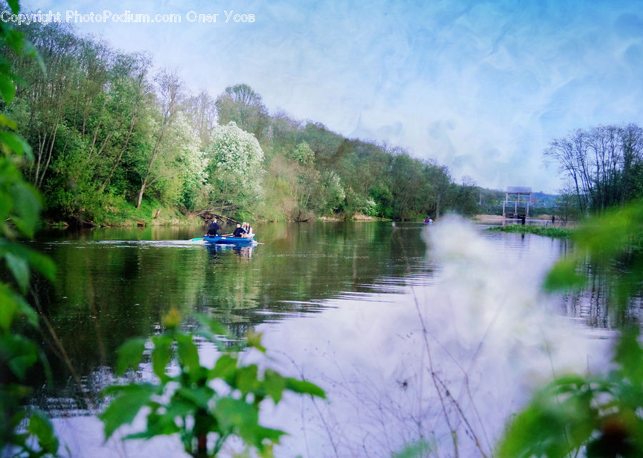 Outdoors, Pond, Water, Canal, River, Land, Marsh