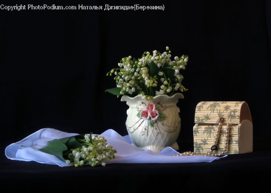 Jar, Porcelain, Vase, Gift, Flower Arrangement, Ikebana, Plant