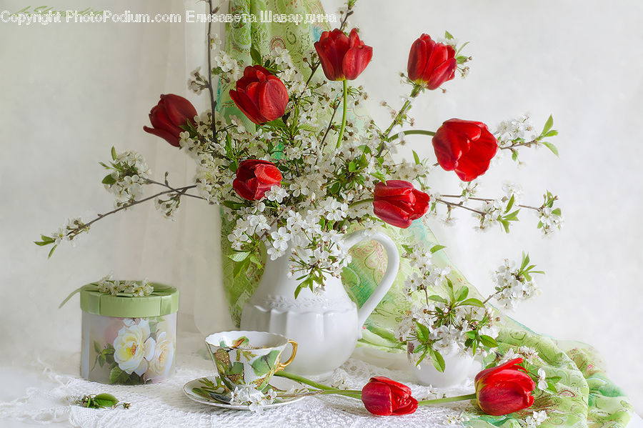 Blossom, Flower, Plant, Rose, Flora, Tulip, Floral Design