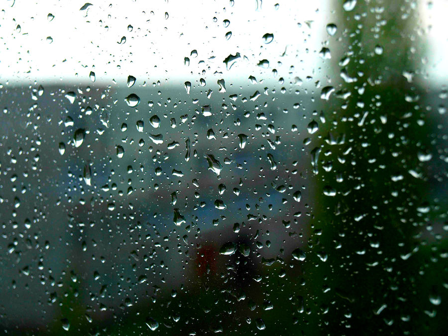 Droplet, Field, Grass, Grassland, Plant