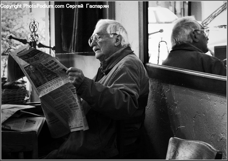 Human, People, Person, Reading, Portrait