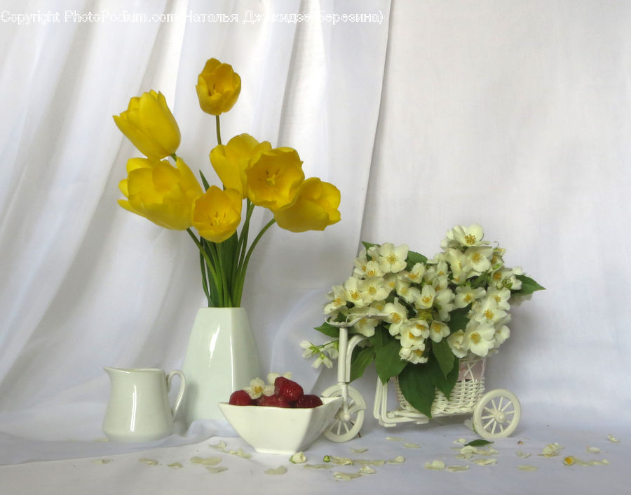 Cup, Flower Arrangement, Ikebana, Plant, Potted Plant, Vase, Flower