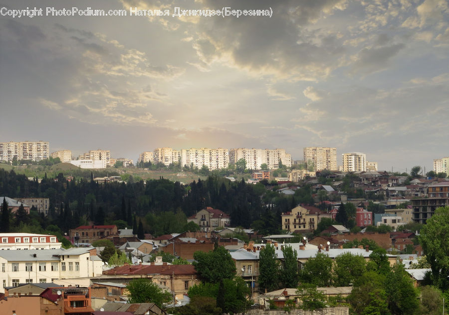 Aerial View, City, Downtown, Metropolis, Urban, Building, Housing