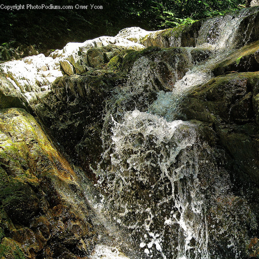 Outdoors, River, Water, Waterfall, Creek, Bush, Plant