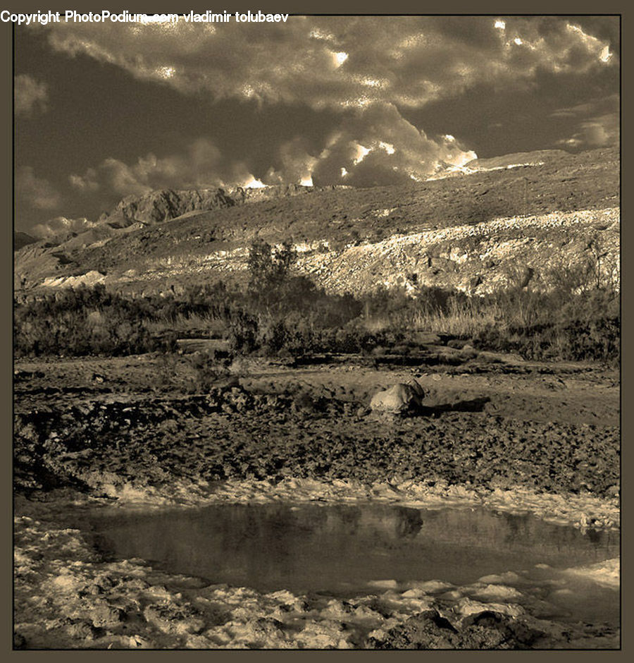 Land, Marsh, Pond, Swamp, Water, Dirt Road, Gravel