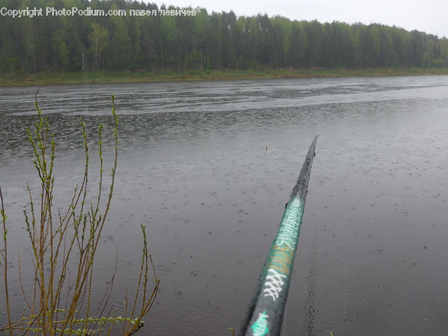 Land, Marsh, Outdoors, Swamp, Water, Pond, Boat