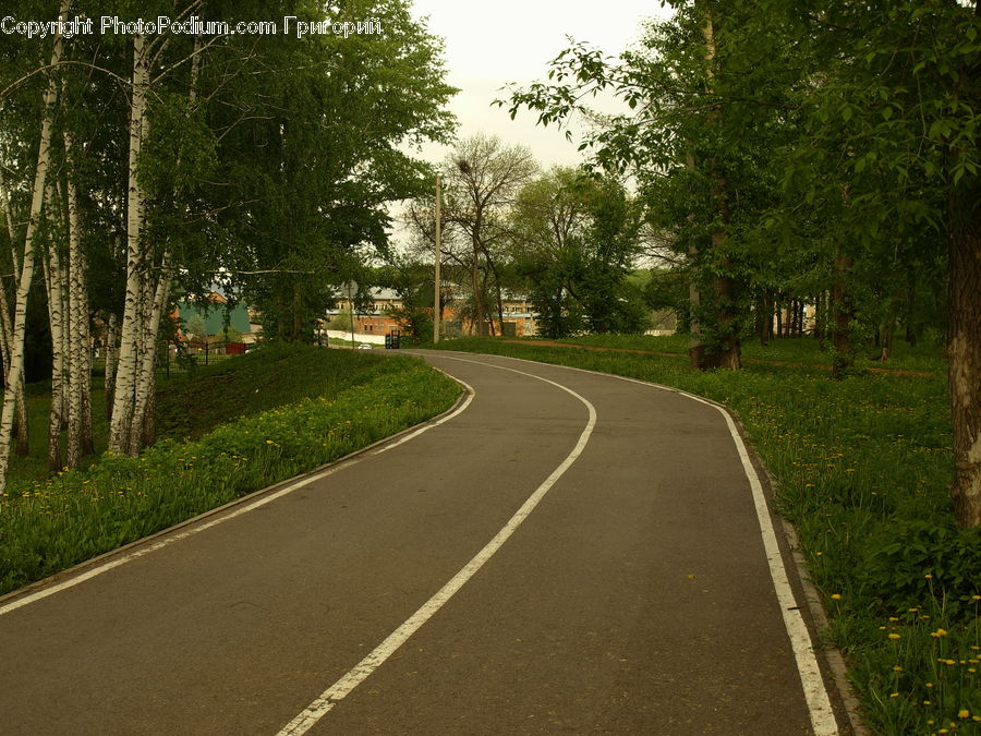 Path, Road, Walkway, Dirt Road, Gravel, Freeway, Highway