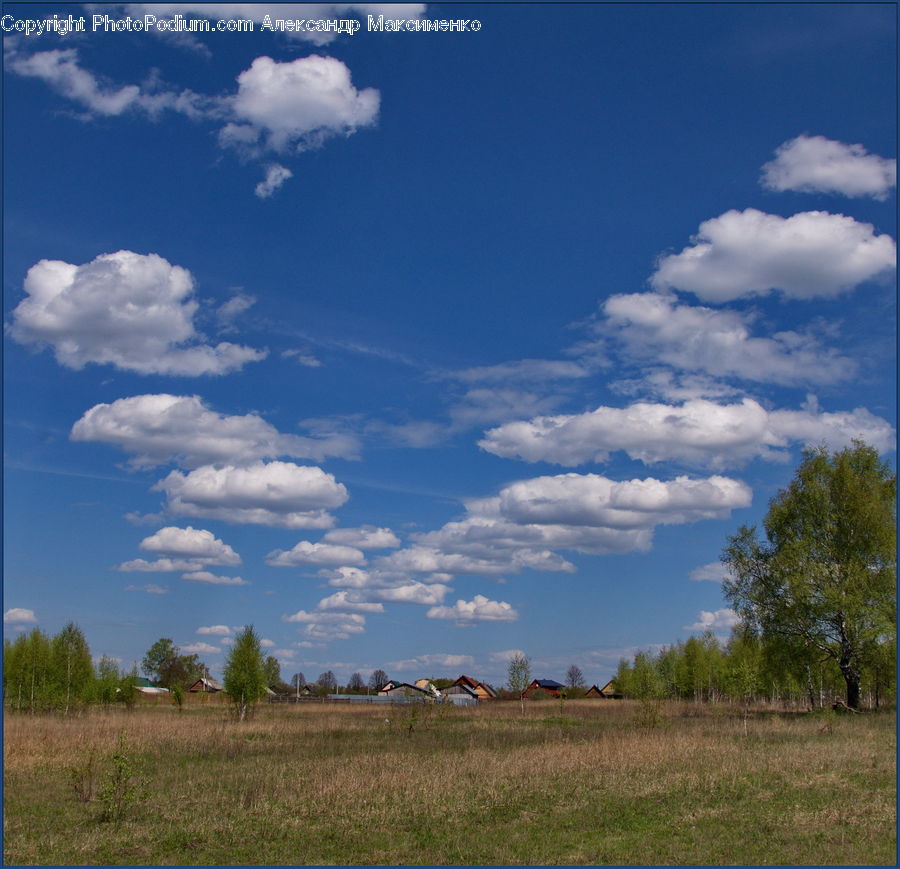 Cloud, Cumulus, Sky, Azure Sky, Outdoors, Field, Grass
