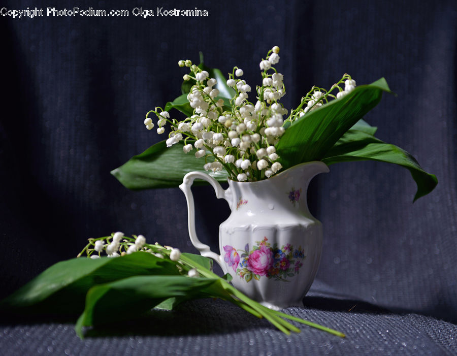 Pot, Pottery, Teapot, Cup, Flower Arrangement, Ikebana, Plant