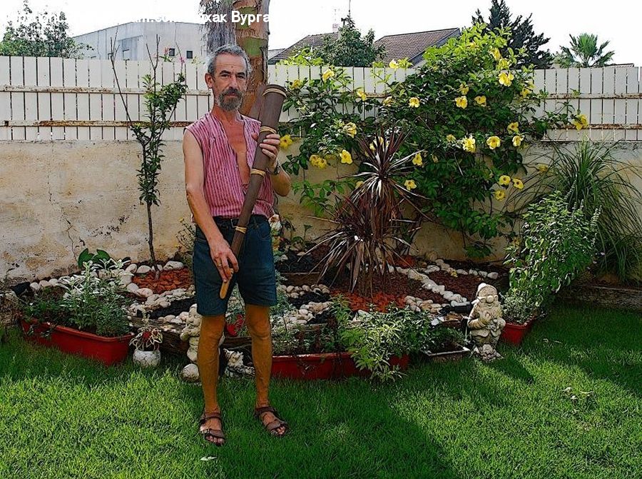 Plant, Potted Plant, Human, People, Person, Backyard, Yard