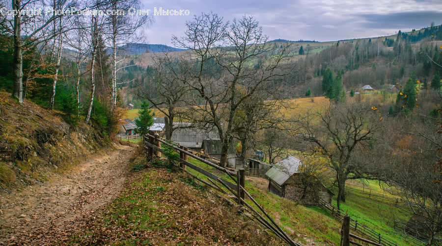 Dirt Road, Gravel, Road, Outdoors, Wilderness, Landscape, Nature