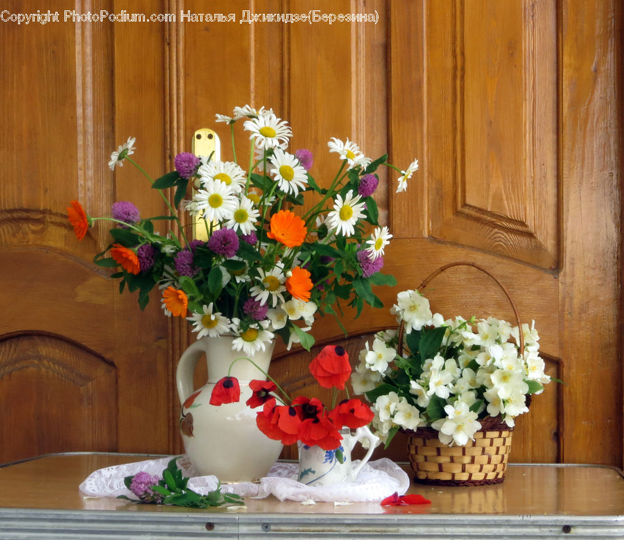 Plant, Potted Plant, Floral Design, Flower, Flower Arrangement, Flower Bouquet, Ikebana