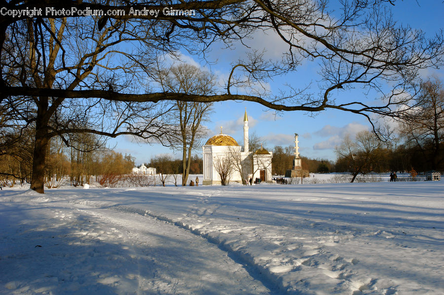 Landscape, Nature, Scenery, Campus