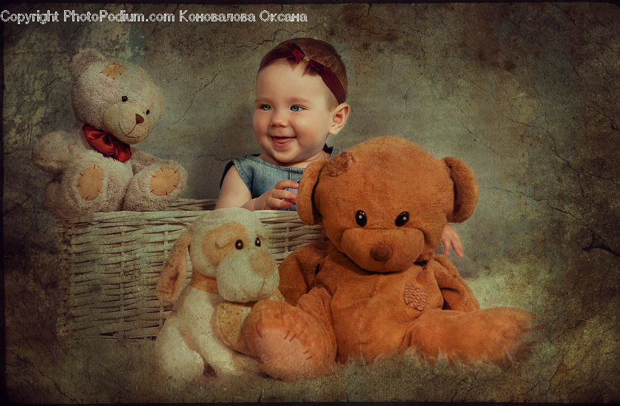 Teddy Bear, Toy, People, Person, Human, Doll, Basket