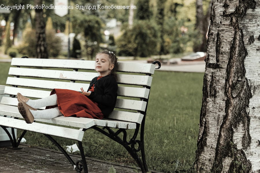 People, Person, Human, Bench, Park Bench, Birch, Tree