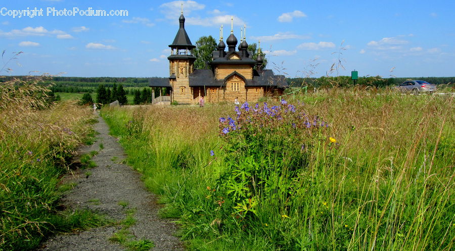 Field, Grass, Grassland, Land, Outdoors, Ground, Soil