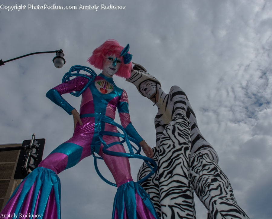 Clown, Performer, Person, Figurine, Carnival, Festival, Parade